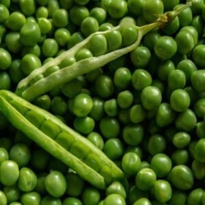 Arveja Obonuco Andina