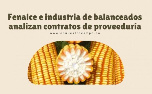 Boletin-Agroclimatico-Regional-9-980x551 Boletin-Agroclimatico-Regional-9-980x551