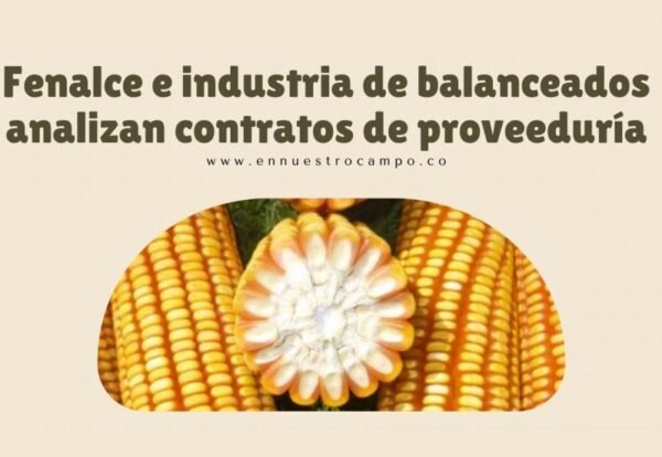 Boletin-Agroclimatico-Regional-9-980x551