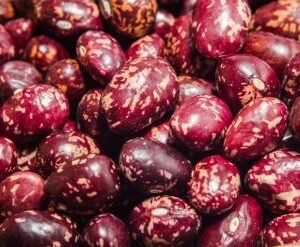 Frijol Cargamanto Rojo