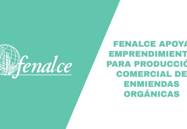 historia-ig_Mesa-de-trabajo-1-980x551 (1)