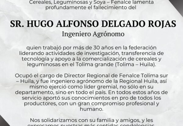 WhatsApp Image 2025-01-24 at 2.43.18 PM