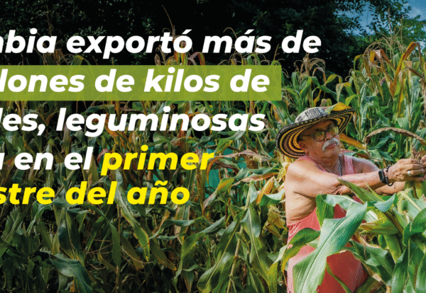 Banner Web - importaciones