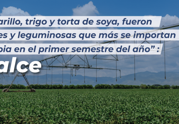 Plantilla-Banner-Web-24-10-2025