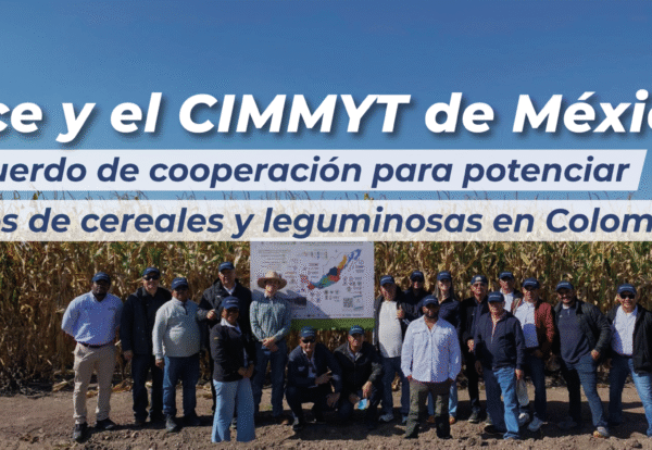 Plantilla-Banner-Web-05-11-2025