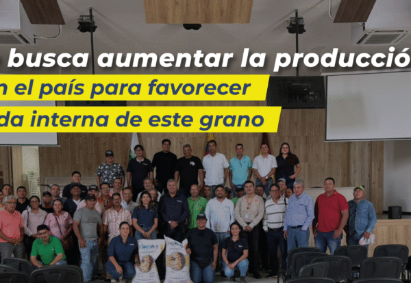 Plantilla-Banner-Web-18-11-2025